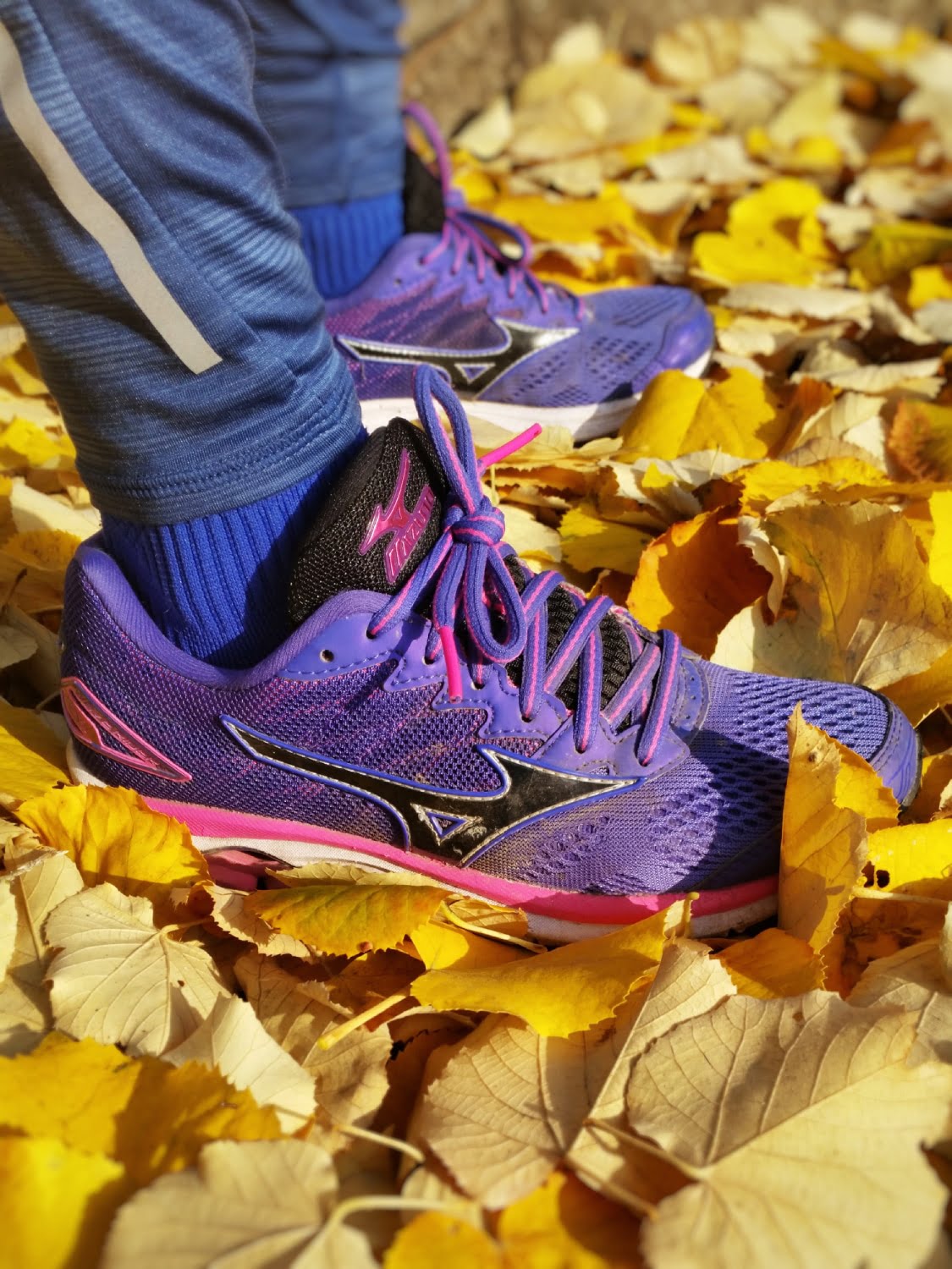 Mizuno Wave Rider