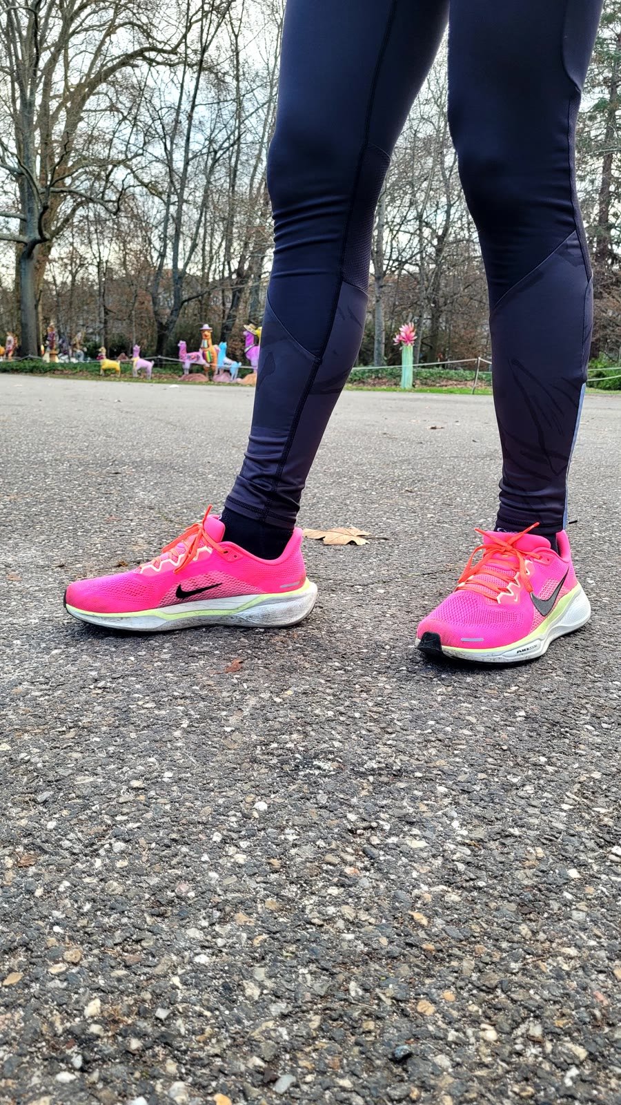 Mes Nike Pegasus 41 roses portées lors d’une sortie
