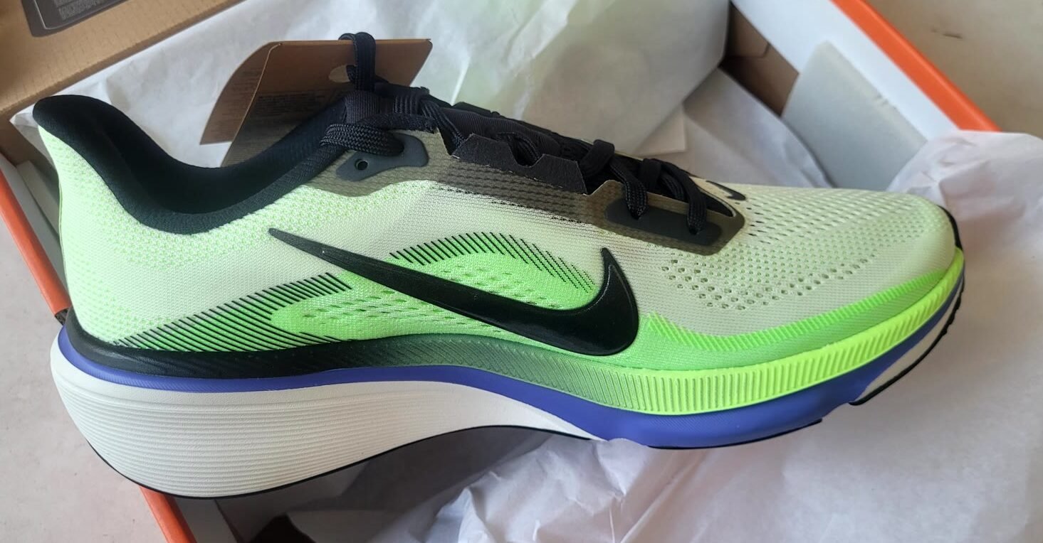 Profil de ma paire de Nike Pegasus 42