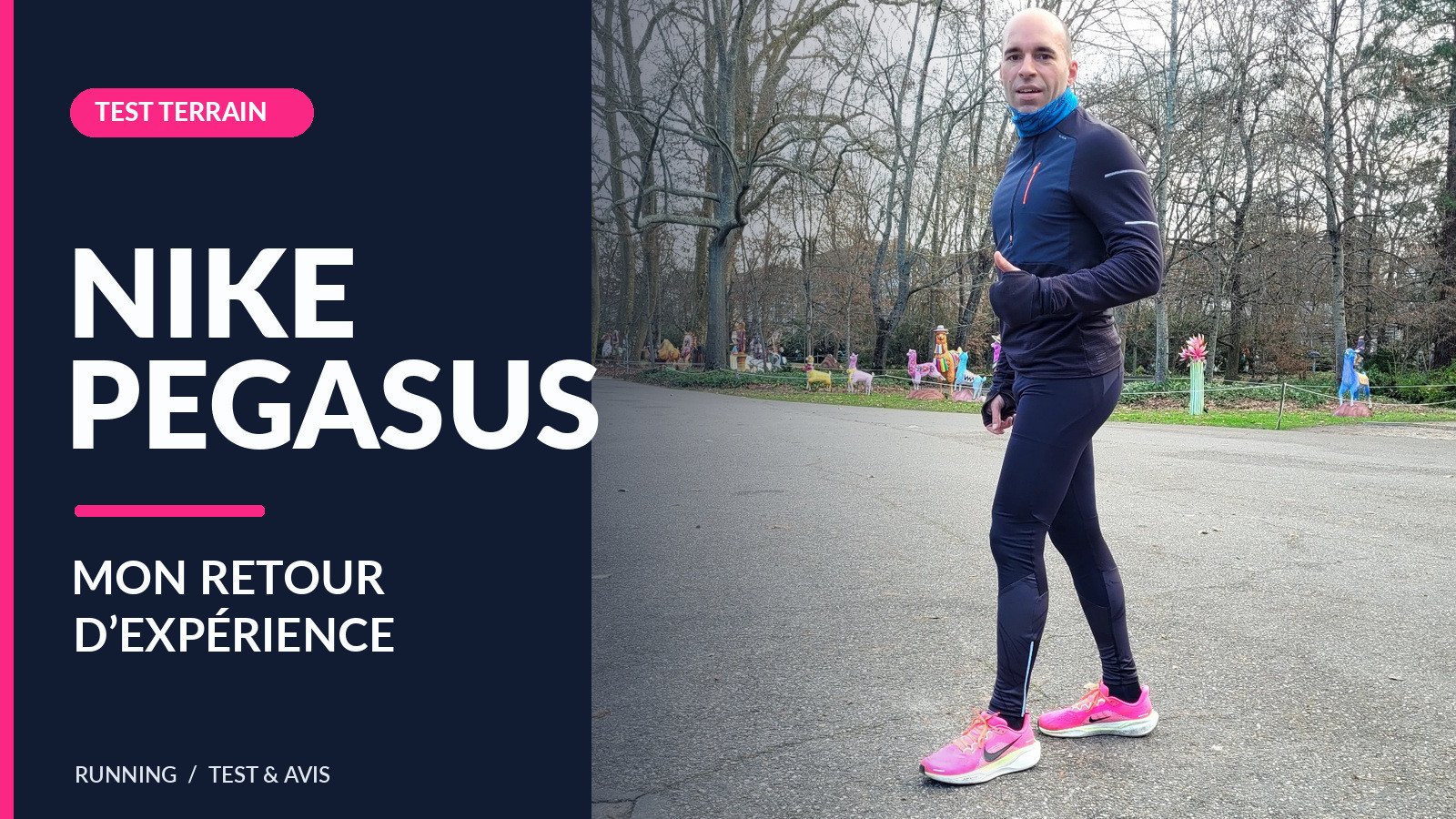 Le test de la série de chaussures running Nike Pegasus